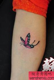Fermoso e fermoso patrón de tatuaxe de bolboreta para as pernas das nenas