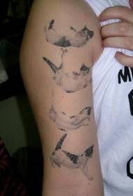 Diverso modello di tatuaggio gatto tatuato