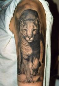 Patrón de tatuaxe de león camiñante realista marrón no ombreiro