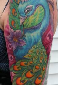 Storarm tatoveringsmønster: storarm påfugl tatoveringsmønster