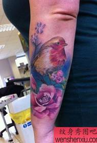 腕の色の鳥カササギの花の入れ墨