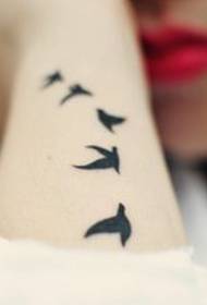 الگوی تاتو پرنده بازوی زیبایی