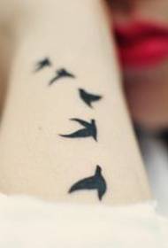 Beauty arm totem fûgel tattoo patroan