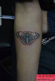 tiszta és gyönyörű pillangó tetoválás a karon