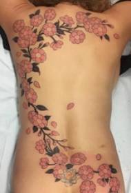 Usa ka hugpong sa gwapo nga katunga sa usa ka tattoo ug tanum nga materyal nga materyal nga bulak nga tattoo nga bug-os nga bukton bulak nga buko nga tattoo nga parisan nga Daquan