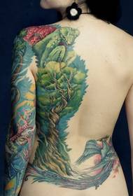 De beaux tatouages colorés à l'arrière de la beauté