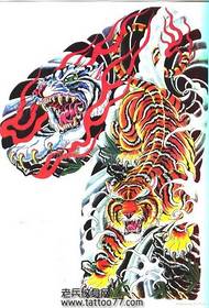 Manoscritto semi-tatuaggio: manoscritto tigre mezza tigre