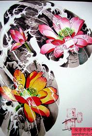 중국 전통 잘 생긴 아름다운 컬러 반 활 연꽃 문신 원고 패턴 디스플레이