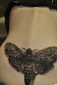 back waist classic fashion flower arm moth tattoo pattern