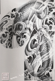 Chinese printed black and white double squid tattoo pattern half manuscript picture