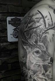 Maruva ruoko 3d deer tattoo maitiro ndeyechokwadi