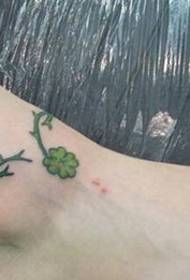 Cheviy chans Clover Modèl Tattoo