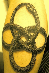 Serpente sul polpaccio