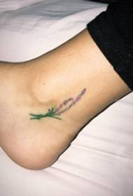 krāsas tetovējums meitenes potīte uz krāsaina auga tetovējuma attēla 89325-augu tetovēta vīrieša sportista potīte uz melna pinecone tetovējuma attēla
