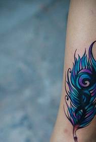 txhais ceg xim feather tattoo qauv