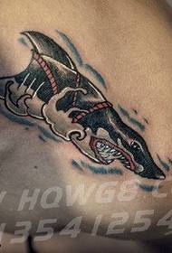 wzór tatuażu rekina obojczyka