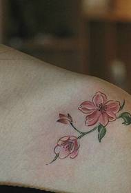 clavicle model i vogël tatuazhi i luleve të freskëta dhe të bukura