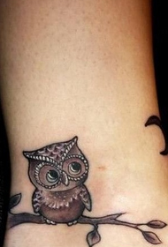 tato owl pedhet