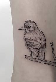 Pola Tato Burung Titik Burung Tumbuk