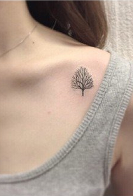 краса ключиця маленьке дерево татуювання візерунок