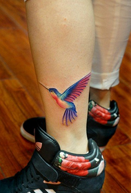 Обојени прелепи узорак тетовирања колибри