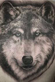 likod tattoo lalaki boy pabalik itim na lobo ulo tattoo larawan