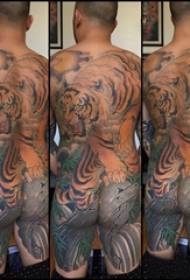 po nugaros tatuiruotu vyru berniuku ant spalvoto tigro tatuiruotes paveikslo nugaros