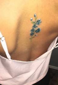 татуированная спинка девушки на спине цветная маленькая татуировка с изображением свежих цветов