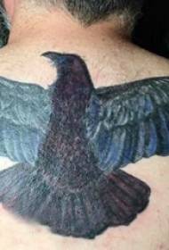 Tattoo Adler Bilder Jungen auf der Rückseite des farbigen Adlers Tattoo Bild