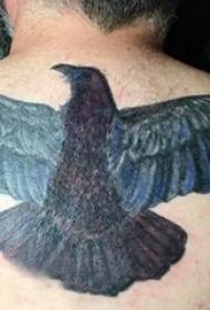 tattoo eagle pictures boys on the back of the colored eagle Tattoo picture