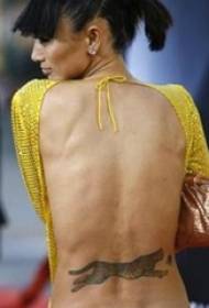 stella modello tatuaggio stella sul retro della foto tatuaggio leopardo grigio scuro