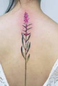 Streapa Tattoo Stripe ar Spine na Spine