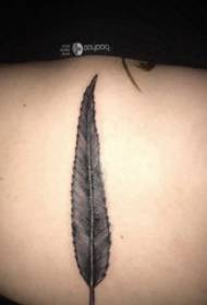 Таттоо женска дјевојка на леђима на полеђини црне пера слике тетоваже