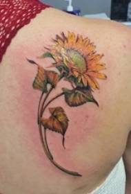 Saulėgrąžų tatuiruotės paveikslėlis Mergaitės nugara ant spalvoto saulėgrąžų tatuiruotės paveikslo