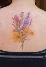 tatovering små blomster Fargede blomster tatoveringsbilder på baksiden av jenta