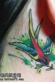 auss skaists krāsains mazas bezdelīgas tetovējuma raksts