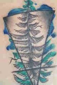 Pianta una ragazza tatuaggio sul retro dell'immagine colorata del tatuaggio dell'albero