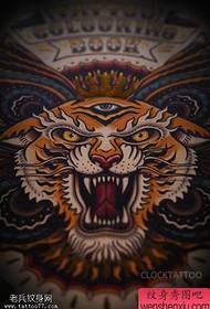 боја на тигар главата око пеперутка тетоважа слика ракопис