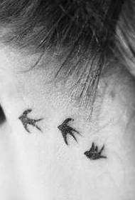 tres tatuaxes de aves detrás da tatuaxe da orella