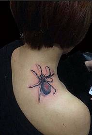 kou bèl gade ti tatoo modèl foto Spider