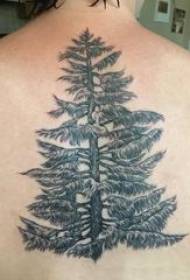 tato pohon pinus di bagian belakang gambar tato pinus hitam
