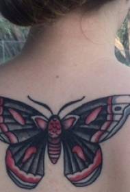 filles sur le dos peint des lignes simples géométriques photos de tatouage papillon petit animal