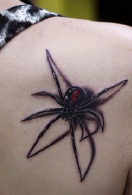 3Д боја пајак шема тетоважа Daquan