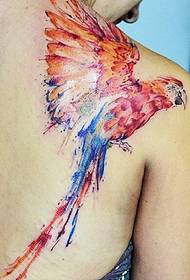 kadın arka omuz rengi kuş dövme deseni