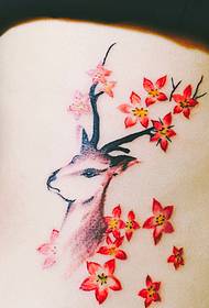 Dengtos nugaros Pentagramos gėlių ir elnių tatuiruotės raštas