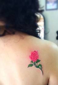 módne dievča späť tetovanie ruže
