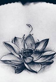 bella immagine del tatuaggio del loto di fioritura