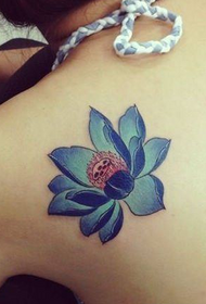 Плечи красоты выглядят хорошо, цветная фотография татуировки лотоса