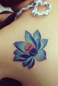 beauty shoulders look good color lotus tattoo pictures