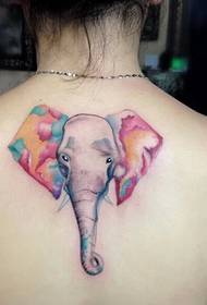seksi djevojka natrag šarene tetovaže slona 94524-cvijeće na ramenima i tetovaže engleskog abecede